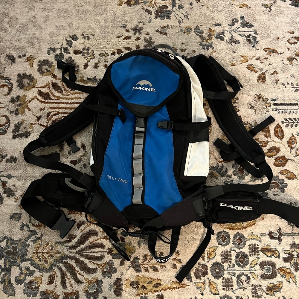 Dakine Blue, Black, and White Backpack 20L